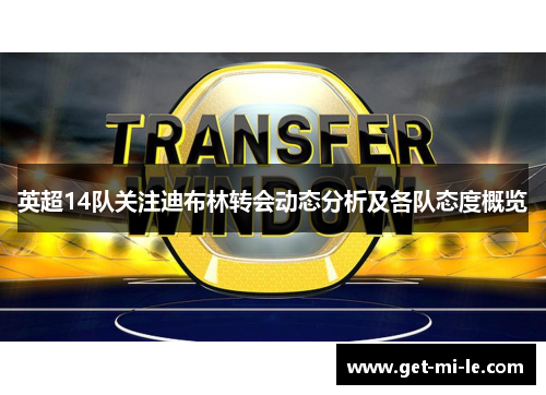 英超14队关注迪布林转会动态分析及各队态度概览