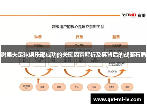 谢里夫足球俱乐部成功的关键因素解析及其背后的战略布局
