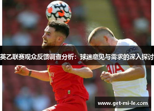 英乙联赛观众反馈调查分析：球迷意见与需求的深入探讨