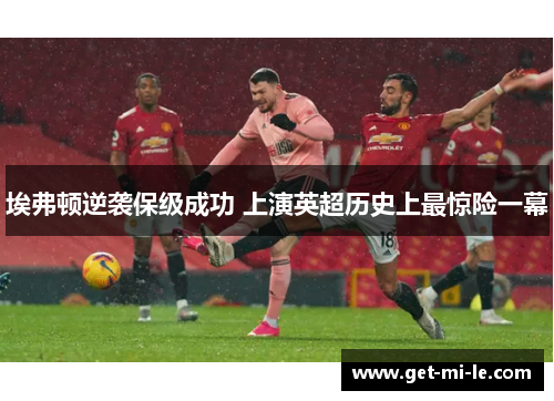 埃弗顿逆袭保级成功 上演英超历史上最惊险一幕 埃弗顿逆袭保级成功 上演英超历史上最惊险一幕