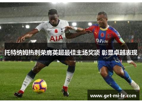 托特纳姆热刺荣膺英超最佳主场奖项 彰显卓越表现 托特纳姆热刺荣膺英超最佳主场奖项 彰显卓越表现