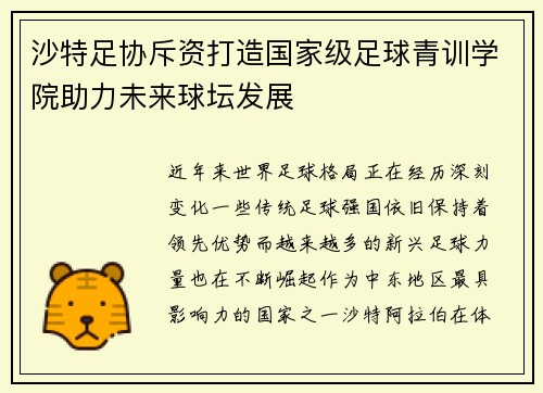 沙特足协斥资打造国家级足球青训学院助力未来球坛发展